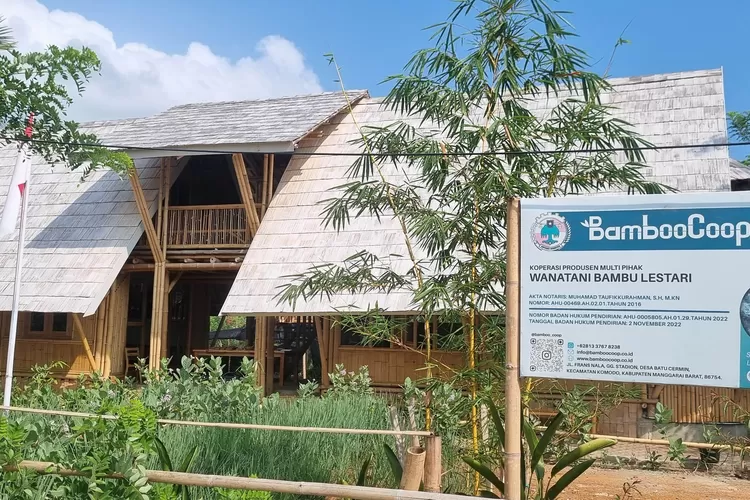 BambooCoop. Tren pasaran bambu di Flores berpeluang meningkat.