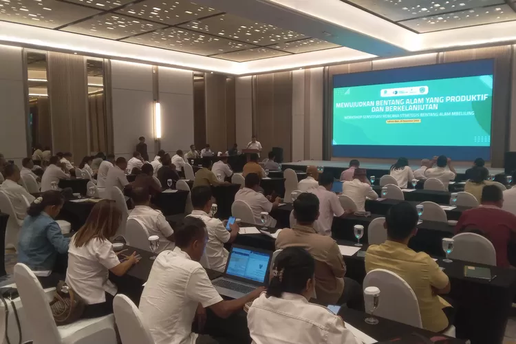 Mengingatkan lagi dokumen renstra pengeloaan BAM yang ada sejak 2015 di Mabar NTT. (KLIKLABUANBAJO.ID)