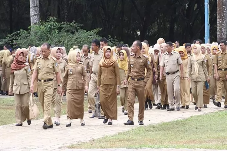 Badan Kepegawaian Negara (BKN) telah memberikan kabar gembira kepada para Pegawai Negeri Sipil (PNS) di Indonesia. (Dok. Istimewa)
