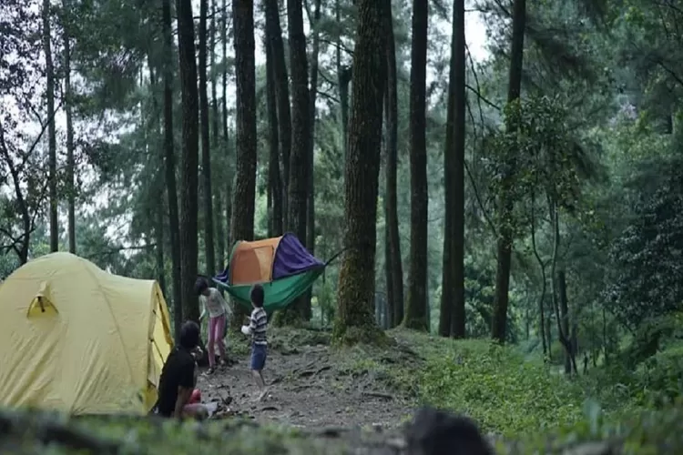 Tak Mahal untuk Mengeksplorasi Keindahan Alam Bogor, Kunjungi Destinasi Wisata Alam dan Pegunungan Terbaru 2024 (foto/Pinterest)