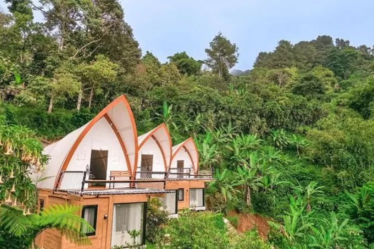 Glamping Murah Di Bogor, Rekomendasi Staycation Di Selayang Olive Hill ...