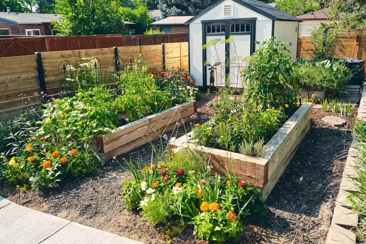 Inspirasi Desain Taman Belakang Rumah Minimalis (foto/Instagram)