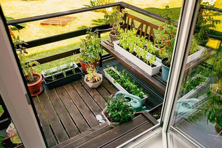 Menata Taman Kering di Balkon Apartemen (foto/Instagram)