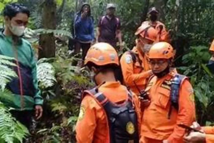 Pencarian Pendaki Asal Bogor di Gunung Binaiya Maluku Disetop (foto timsar/suara.com)