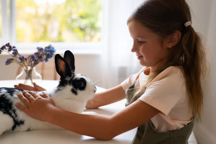 Ilustrasi - Merawat kelinci (Foto/Freepik)