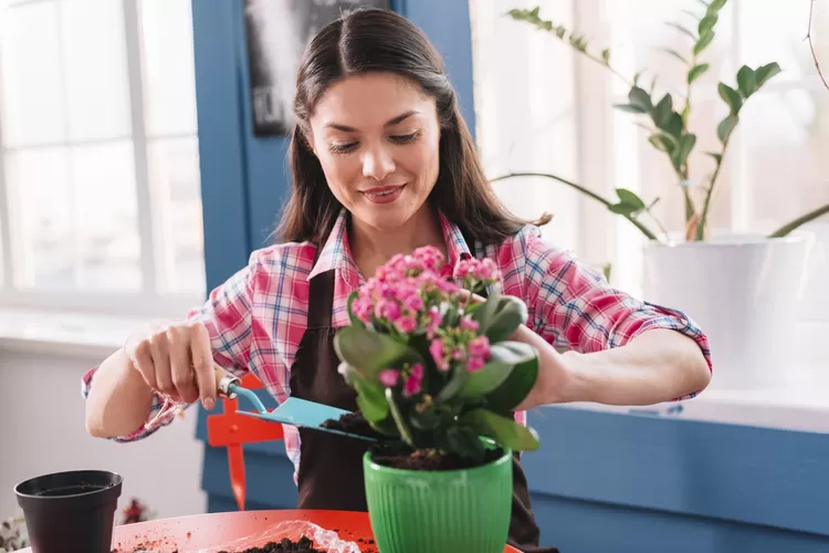 Merawat bunga (Foto/Freepik)