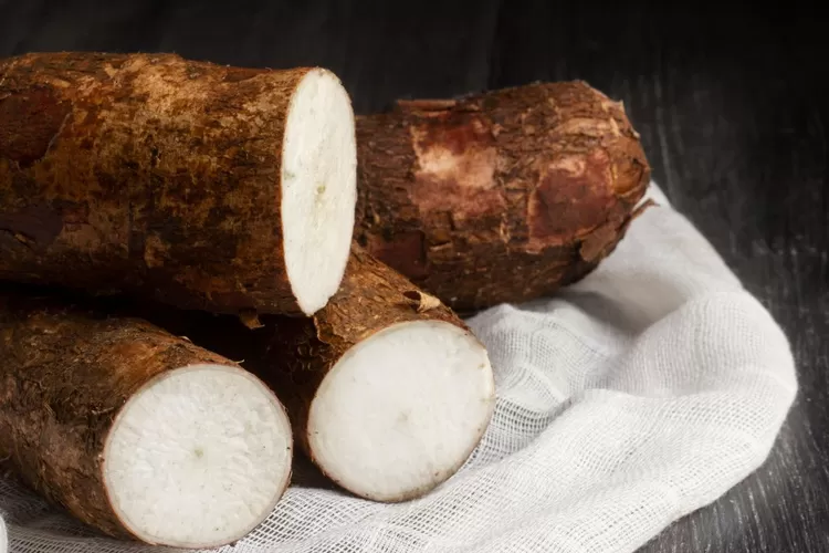 Ilustrasi - Singkong 