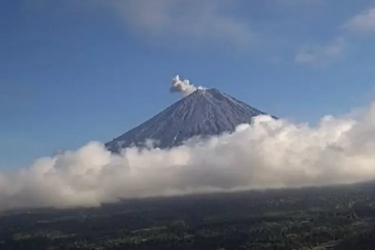 Gunung Semeru Kembali Erupsi, Semburkan Kolom Abu Setinggi 600 Meter ...