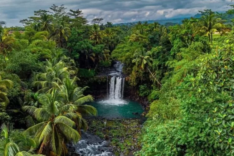 Keindahan Curug Sendang Bidadari Di Baturaden Pesona Alam Yang Memikat Lihat Jambi