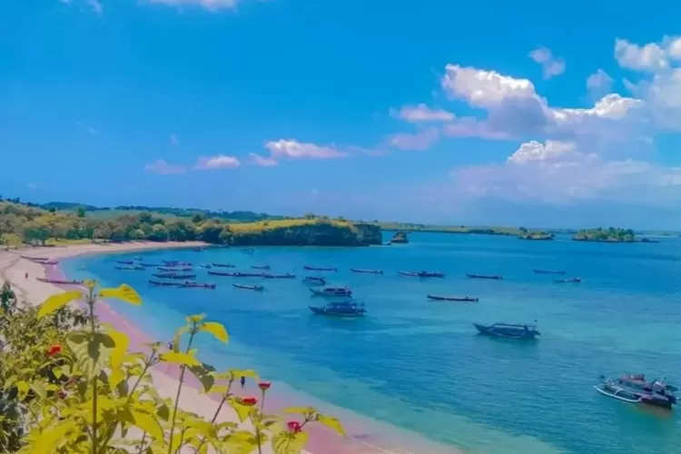 Pesona Unik Pantai Tangsi Di Lombok Pantai Pink Yang Memukau Lihat Jambi