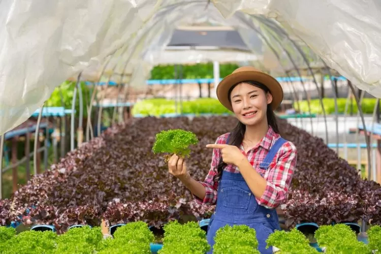 Contoh Hilirisasi Produk Pertanian: Mengubah Hasil Tani Menjadi Nilai ...