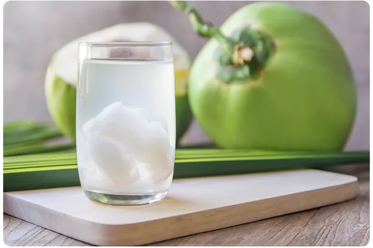 Minum Air Kelapa (halodoc)