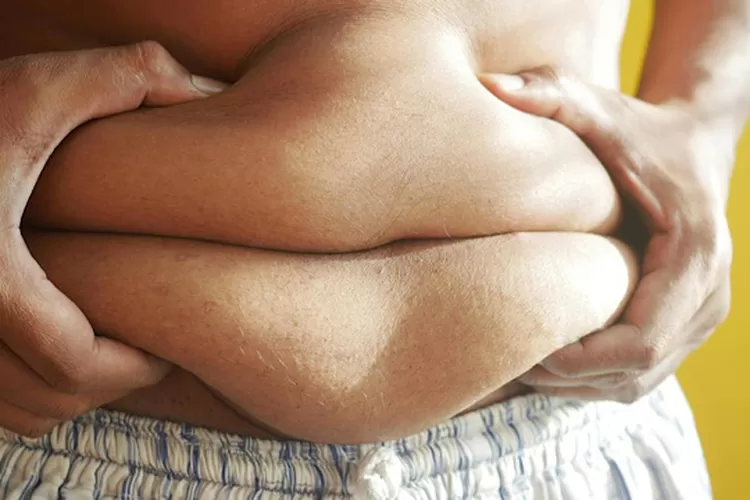 Ilustrasi lemak dalam tubuh (Foto By Pexels)