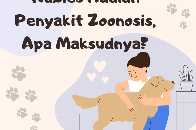 Rabies Adalah Penyakit Zoonosis, Apa Maksudnya? Ini Sebab, Gejala, Dan ...