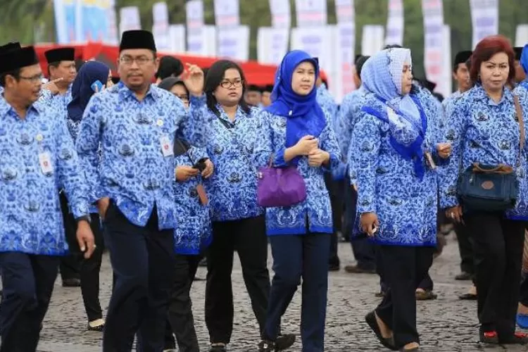 Pendaftaran Dibuka 20 Agustus 2024, Segini Kuota Formasi CPNS Bagi