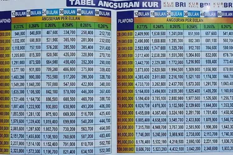 KUR BRI Masih Dibuka, Tabel Pinjaman Rp 100 Juta Cicilan Dengan Bunga ...