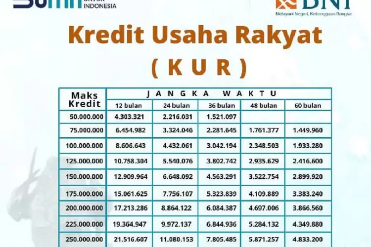 Ajukan Pinjaman Kur Bni Rp Juta Tanpa Jaminan Tambahan Berlaku