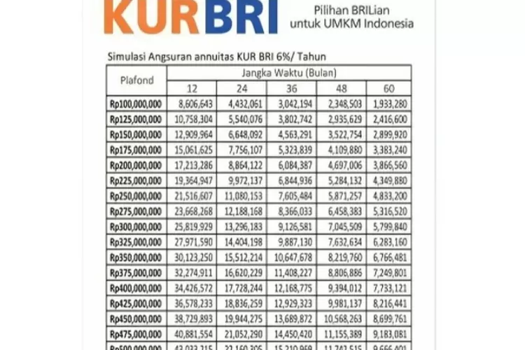 Butuh Modal Usaha? Cek Tabel Angsuran KUR BRI 2024, Pinjaman Rp100 Juta ...