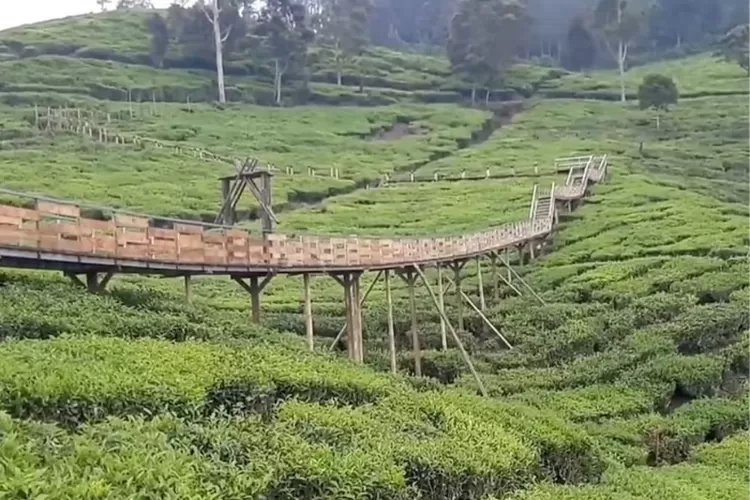 Bandung Selatan menyuguhkan beberapa tempat wisata yang Instagramebel (YouTube@EyipKreatif.com)