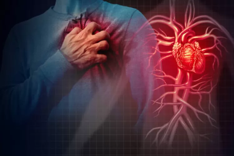 Menurut WHO (2016) Penyakit jantung merupakan penyakit penyebab kematian terbesar di Indonesia  (Pixabay.com@wildpixel)