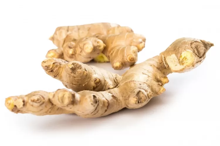 Ilustrasi jahe (Freepik@Racool_studio)