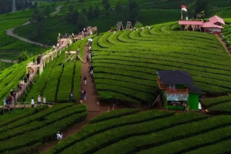 Rekomendasi tempat wisata di Pangalengan Bandung, Jawa Barat  (Instagram.com@akgami22)