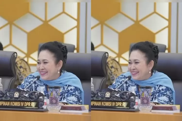 Ketua Komisi IV DPR RI, Titiek Soeharto. (Instagram.com/@titieksoeharto)