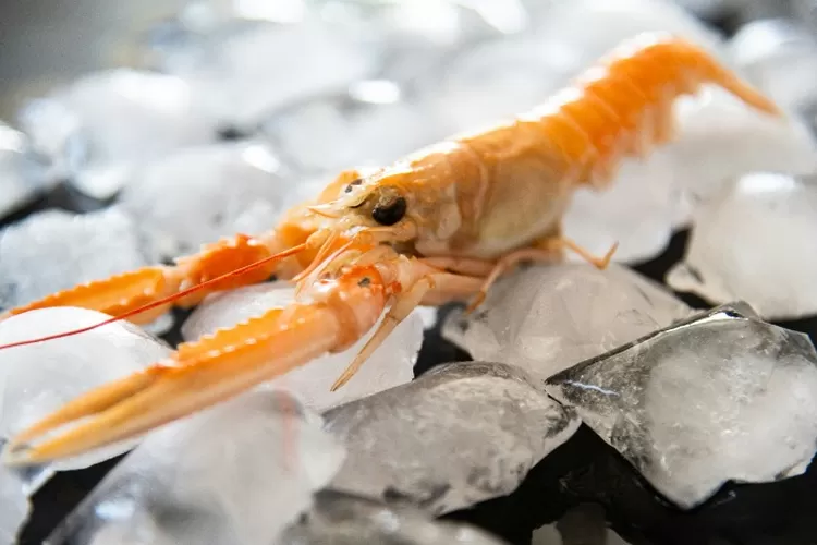 Ilustrasi produk udang beku yang dipasarkan di AS.  ((Unsplash.com/JoannaStołowicz))