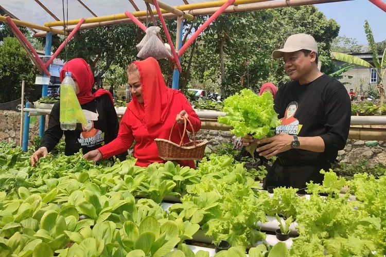 Wali Kota Semarang, Hevearita Gunaryanti Rahayu