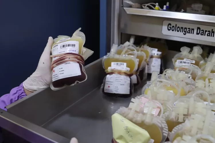 STOK : Kebutuhan darah di UDD PMI Kota Pekalongan tetap tinggi walaupun di bulan Ramadan.