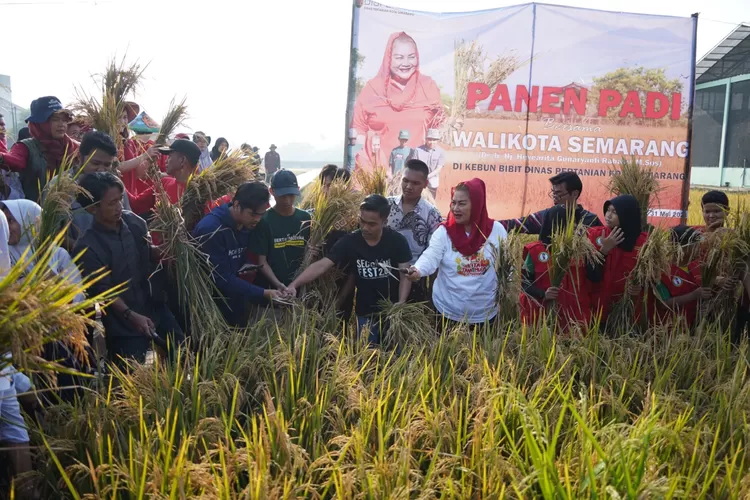 Mbak Ita Ingin Kembangkan Balai Benih Pertanian Jadi Destinasi Agrowisata Lengkap dengan Museum