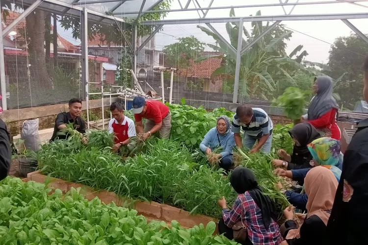 Mbak Ita Dorong Pemanfaatan Lahan Tidur untuk Urban Farming
