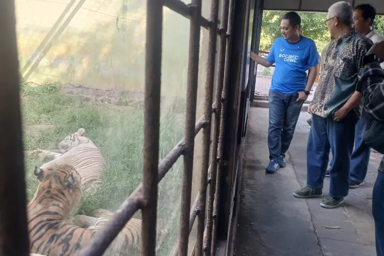 Yoyok Sukawi Kunjungi Semarang Zoo