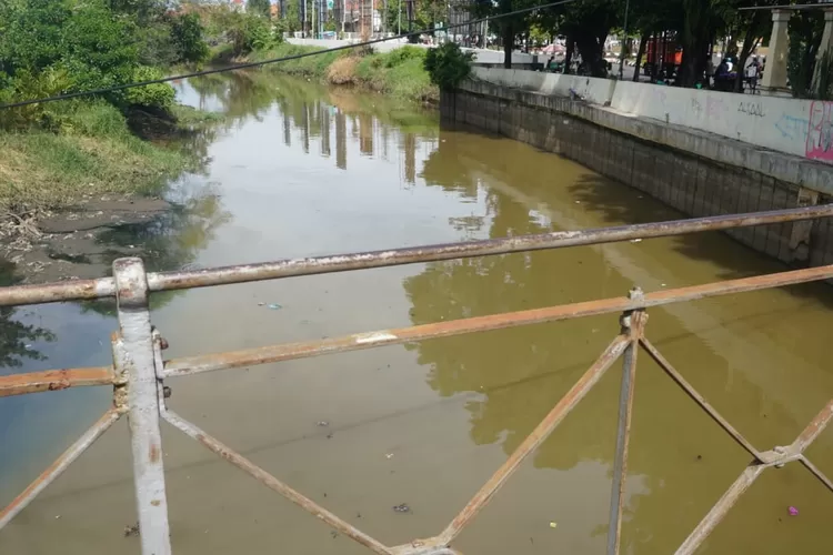 BERSIH : Sungai Loji Kota Pekalongan mulai dari IPAL Kauman hingga Jembatan Loji, berangsur-angsur mulai bersih dari tanaman eceng gondok. (KONTENJATENG.COM/Arif Prayoga)