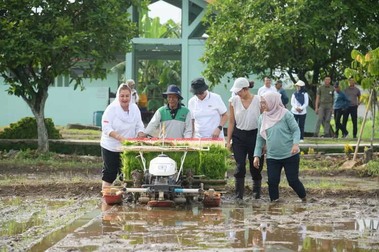 Semarang Semakin Hebat: Refleksi 2024 dan Harapan Baru 2025