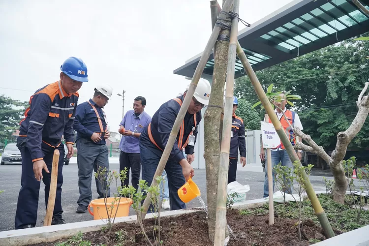 KAI Daop 4 Semarang Tanam 50 Pohon untuk Lingkungan Hijau Berkelanjutan