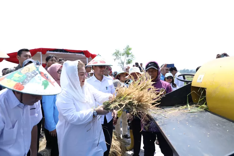 Semarang Pionir Inovasi Lahan Salin untuk Ketahanan Pangan dan Energi