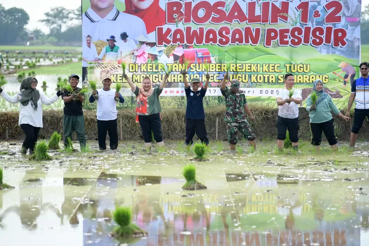 Kecamatan Tugu Semarang Jadi Percontohan Teknologi Biosalin di Sektor Pertanian