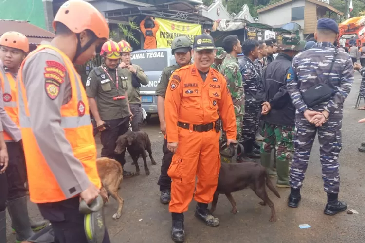 Solidaritas Pemkot Semarang, Bantuan Evakuasi Longsor Pekalongan