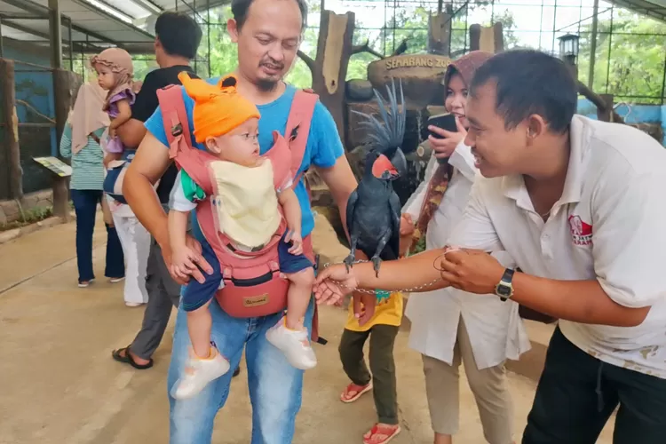 Pengunjung Minta Tambahan Satwa dan Fasilitas