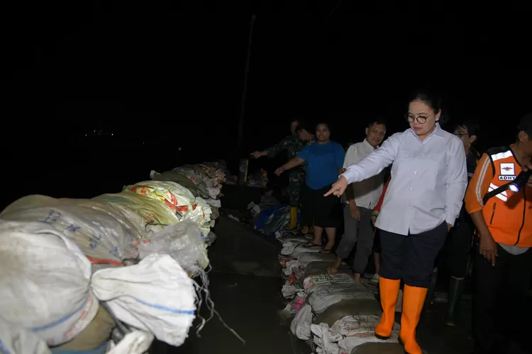 Agustina, Wali Kota Semarang Turun Lapangan Cek Pagar Laut yang Jebol di Pelabuhan Tanjung Emas