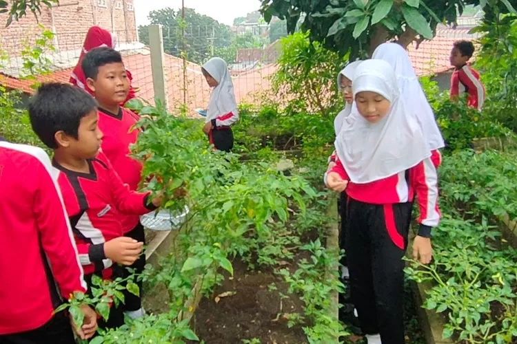  Salah satu bentuk Optima Kopas Catur dengan Pemanfaatan Lingkungan Belajar (Dok. kontenjateng.com)