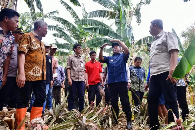 Pj Gubernur Sulsel Bahtiar Baharuddin memberikan penjelasan cara budidaya pisang ke petani Pinrang.