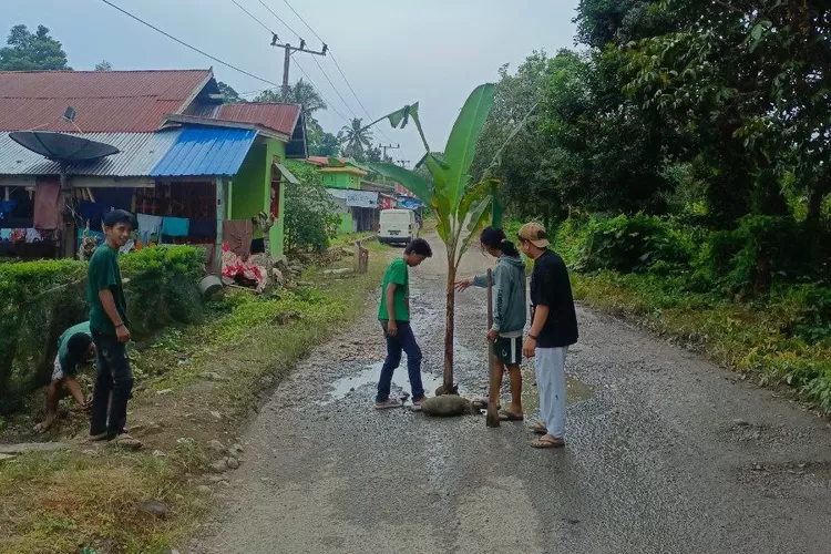Ruas Jalan Bontomanai-Kindang ditolak. Sejumlah pemuda Desa Anrang Kecamatan Rilau Ale tanam pohon dijalan karena kecewa.