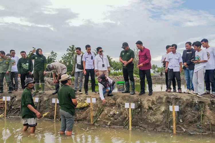 Peringati Hari Lingkungan Hidup Sedunia, Pemkab Bulukumba lakukan penanaman mangrov.