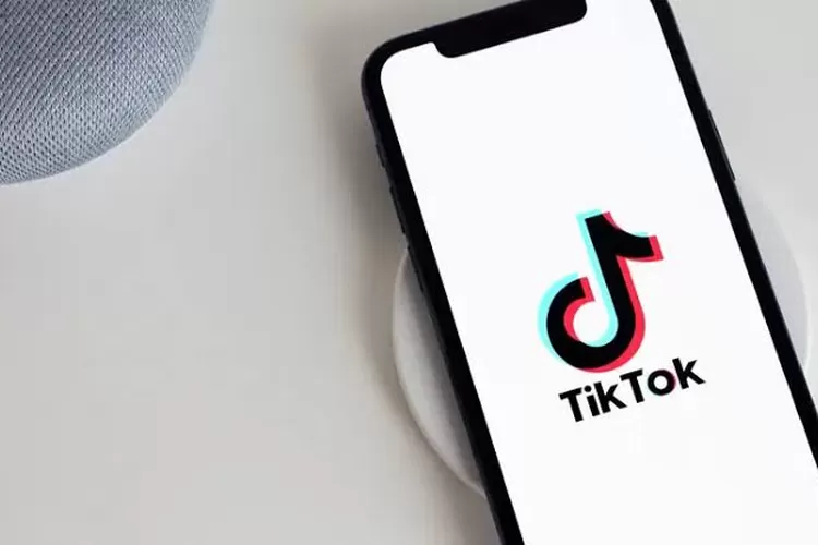 Ilustrasi joget tiktok (Istimewa )