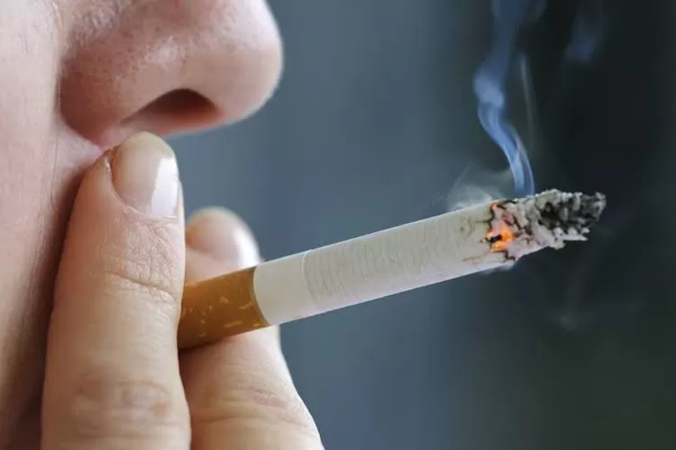 (Ilustrasi) Negara dengan perokok terbanyak di dunia 2025 menurut WHO. (1st)