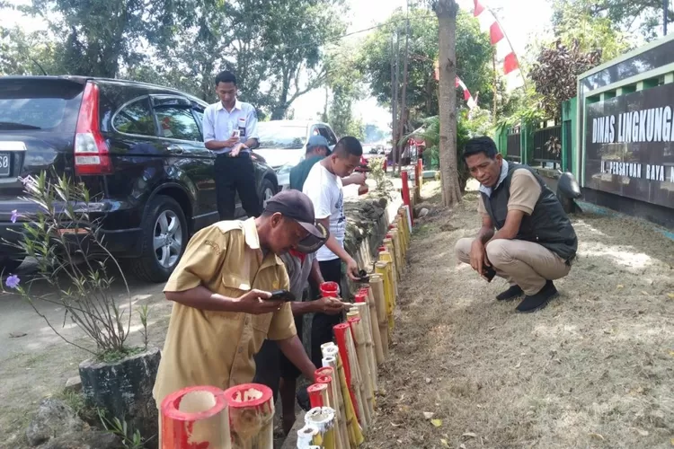 DLHK Sinjai Sulap Halaman Kantor Jadi "Taman Merah Putih"