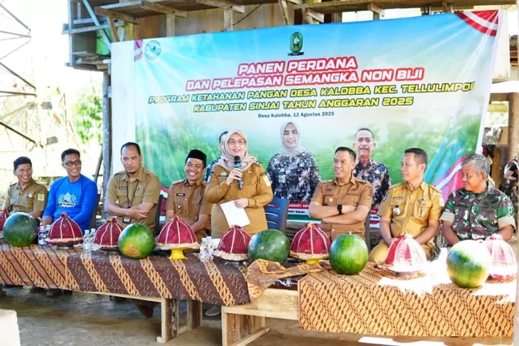Bupati dan Wakil Bupati Sinjai hadiri pelepasan hasil panen semangka non biji. (Humas Pemkab Sinjai)