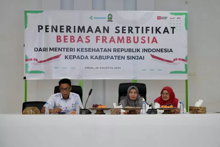 Bupati Sinjai menerima sertifikat bebas Frambusia dari Kementerian kesehatan. (Humas Pemkab Sinjai)